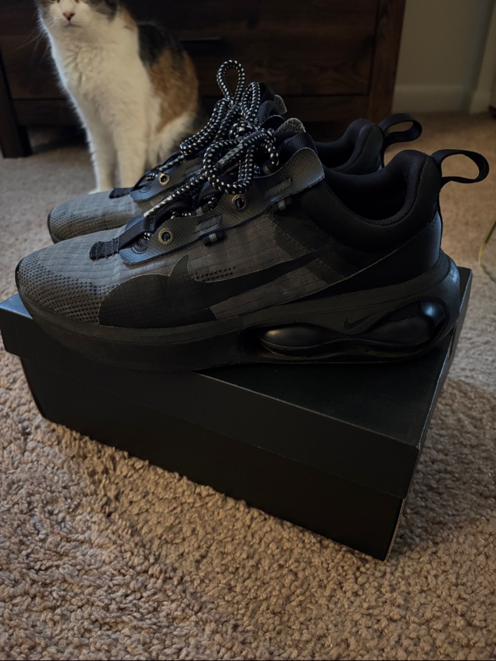 Nike Men’s Black Low-Top Athletic Sneakers